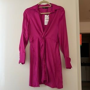 Zara Pink Dress (New with Tags)